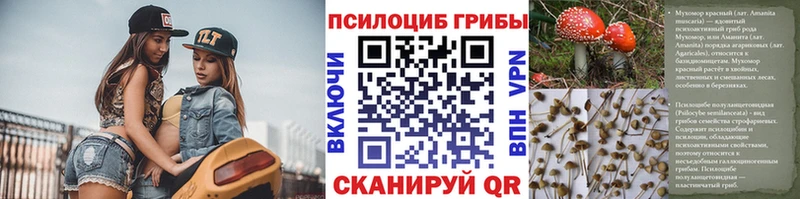 Псилоцибиновые грибы прущие грибы mega как зайти Пугачёв где найти